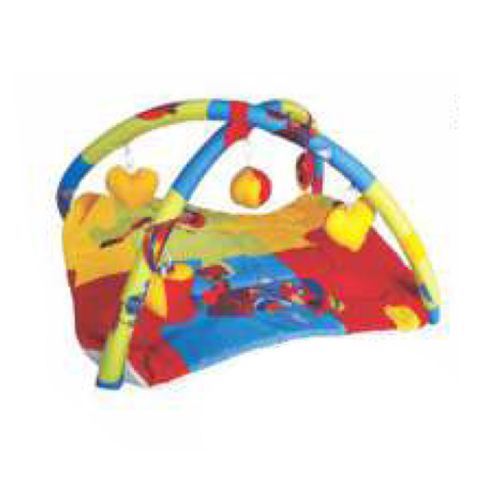 Play Gym