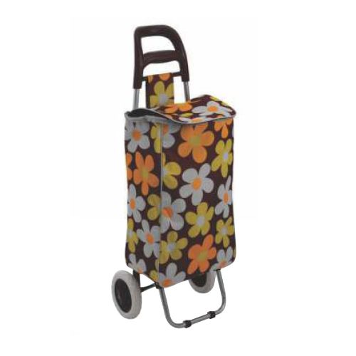 Shopping Trolly